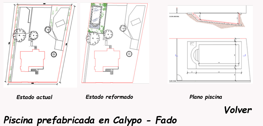 Calypo