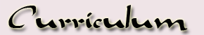 Curriculum